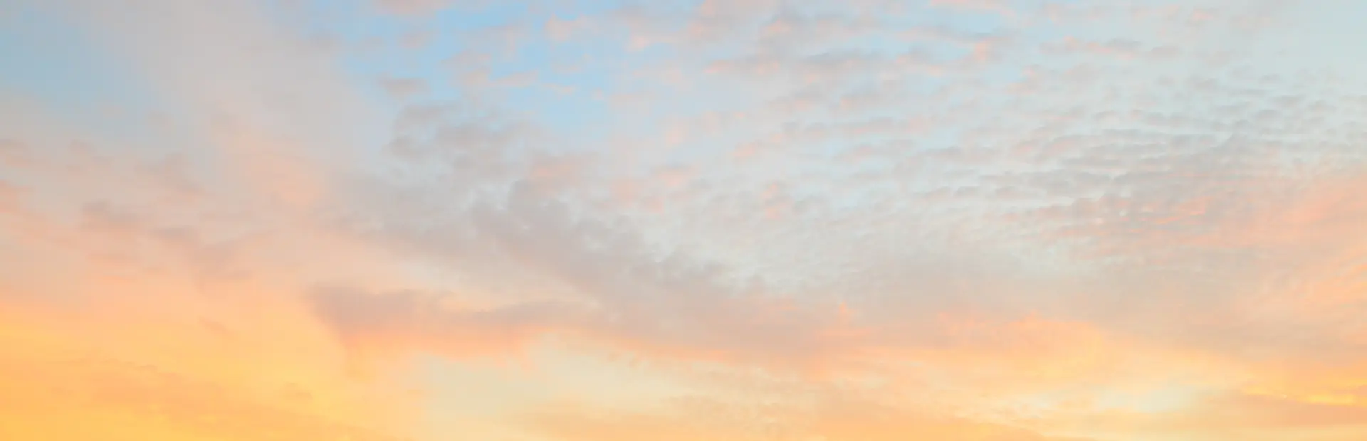 Twilight